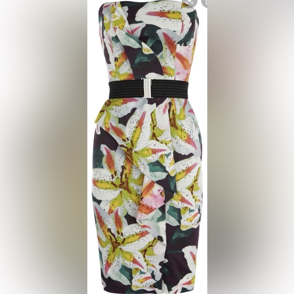 Karen Millen Dress
